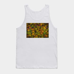 Aerial top down view view of vibrant color autumn forest Tank Top